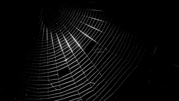 Dark Web și-ar putea găsi sfârșitul în curând