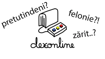Dexonline îi taxează pe cei care copiază la simularea examenelor naționale