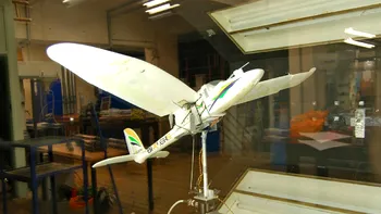 O nouă dronă se inspiră din zborul păsărilor pentru a se strecura peste tot