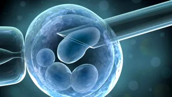 O proteină ar putea elimina unele dintre efectele îmbătrânirii