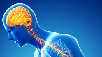 Reprogramarea celulelor cerebrale ar putea ajuta la tratarea bolii Parkinson