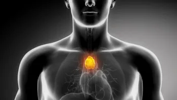 Acest organ artificial produce celule care pot lupta împotriva cancerului