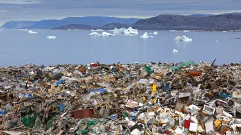 O ciupercă recent descoperită poate descompune plasticul