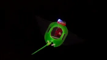 Robotul inspirat de pisica de mare te poate spiona în timp ce înoți