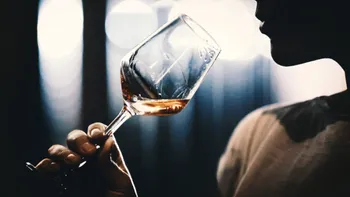 Degustarea vinului ar putea fi cel mai solicitant antrenament pentru creierul tău