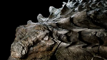 Dinozaurul descoperit într-o mină s-a păstrat atât de bine, încât pare a fi o statuie