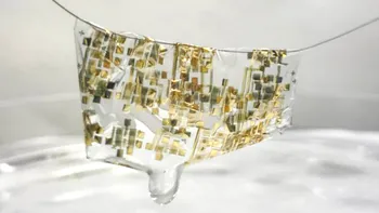A fost creat primul semiconductor biodegradabil și flexibil