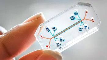 O nouă companie și-a implantat angajații cu cipuri pentru binele lor