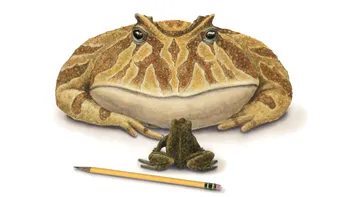 Această broască preistorică era capabilă să vâneze dinozauri