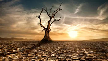 Următoarea extincție planetară ar putea sosi în doar câteva zeci de ani