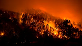 Tot ce nu știai despre cauza incendiilor devastatoare din Australia