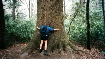 Primii oameni pe Marte ar putea locui într-o pădure
