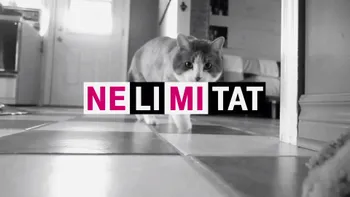 Oferta Telekom îți aduce net nelimitat pentru Facebook, Netflix și altele