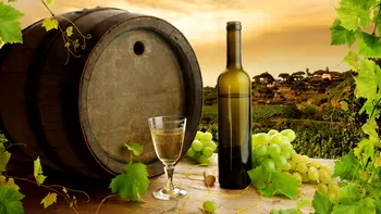 Dovada că oamenii beau vin încă din epoca de piatră