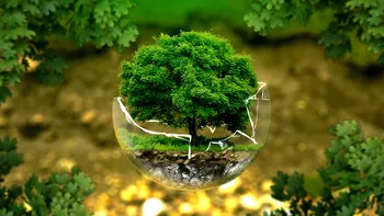 Planul Microsoft care ar putea avea un impact decisiv asupra planetei