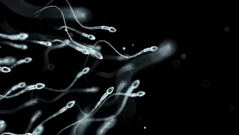 Avertisment pentru bărbați: dezastrul climatic le afectează fertilitatea