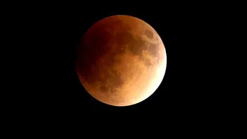 Lupta pentru Lună a început: chinezii cresc bumbac pe satelitul Pământului