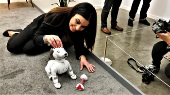 Sony Aibo e câinele robot care nu lasă păr și nici nu distruge casa