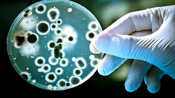 Bacteriile găsite în spațiu ne arată că oamenii contaminează orice ating