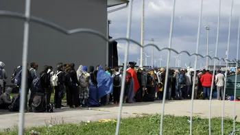 Inteligența artificială îi va ajuta pe refugiați să își găsească un cămin