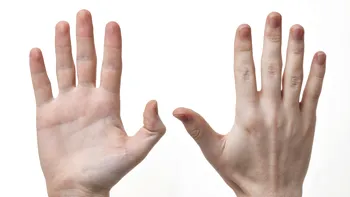 De ce degetele de la mâini au dimensiuni diferite