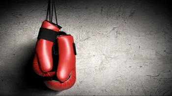 Singurele mănuși de box de pe vremea romanilor, descoperite în Anglia