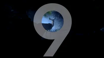 Samsung Galaxy S9 promite o cameră foto cu funcții de top