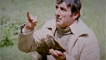 De ce vor parlamentarii să-ți bage subtitrare pe serialele în română
