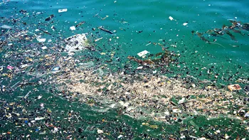 Metodă controversată prin care poate fi curățată Insula Plasticului