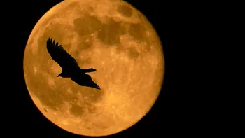 Ce ar însemna ca Luna să aibă gheață pe suprafața ei