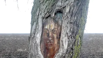 De ce Iisus, Arsenie Boca și alții le tot apar românilor în copaci, pietre și alte locuri