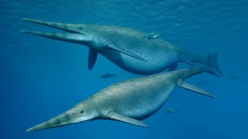 Fosilele celei mai mari reptile marine, descoperite în premieră