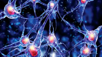 Neutralizarea genei asociate cu Alzheimer poate duce la un tratament