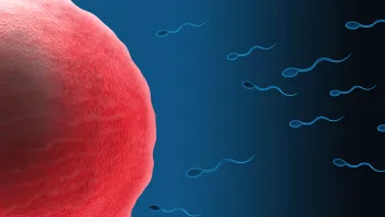 Pilula contraceptivă pentru bărbați n-are hormoni sau efecte secundare