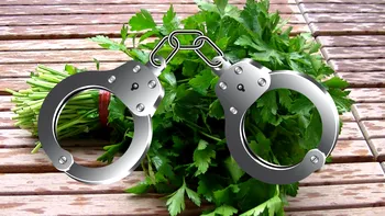 Comentariile internetului după ce Poliția a 