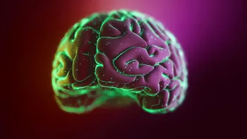 Cum funcționează, de fapt, creierul uman și conexiunile între neuroni
