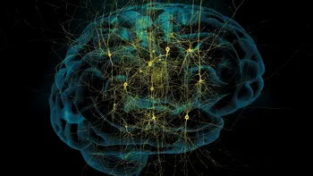 Inteligența artificială va identifica hemoragiile cerebrale mai bine decât medicii