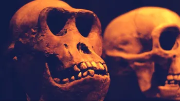 Craniul care îți arată că în evoluție n-a fost niciun Dumnezeu