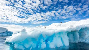 Antarctica, mai caldă ca niciodată: încălzirea globală a provocat temperaturi record în cel mai înghețat loc