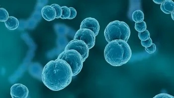 Această proteină periculoasă și contagioasă a fost creată artificial