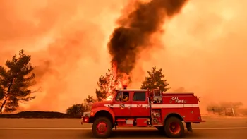 Numărul deceselor cauzate de încălzirea globală a explodat în ultima săptămână