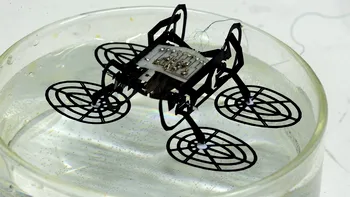 Robotul 