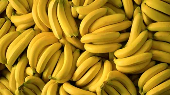 Boala tropicală care amenință cel mai comun soi de banane