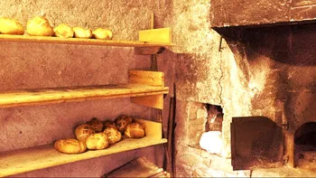 Cea mai veche pâine din lume demontează teoriile despre agricultură
