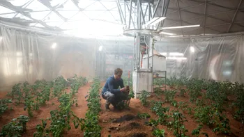 Cum ar putea funcționa agricultura pe Marte și de ce e importantă