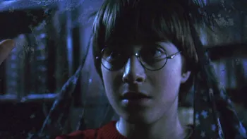 Pelerina invizibilității din Harry Potter ar putea deveni o realitate