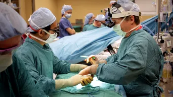 Transplantele cu organe crescute în laborator ar putea deveni realitate