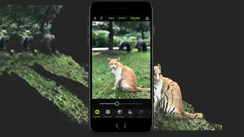 Cum modifici focusul pe iPhone, după capturarea pozei cu portret