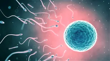 Cercetătorii au creat în premieră ovule umane imature din celule stem