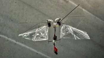 Robotul insectă care poate zbura un kilometru e excepțional și inutil
